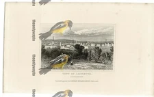 Leicester, Leics, England, Book Illustration (Print), 1850