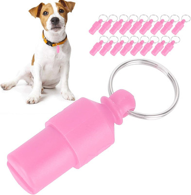 20 Stück Hund ID Tag Mini Anti Lost Pet Tube Tag Wasserdichter Kunststoff ID Nam