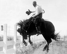 COWBOY CROCKETT on BUCKING BRONCO c1919, Black Man, Horse, Vintage Photo Reprint