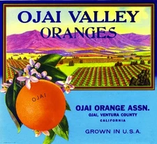 Ojai Ventura County Ojai Valley Orange Citrus Fruit Crate Label Art Print