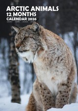 Arctic Animals 2026 Calendars (A3)