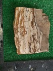 Rough Slab Banded Jasper 138g. 5/16" Thick Lapidary Cabbing #B-2 — photo 4
