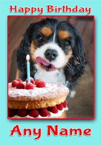 Personalised Cavalier King Charles Spaniel Birthday Card Blank