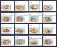 Montserrat 1988 SC 681-696 MNH Set Shell