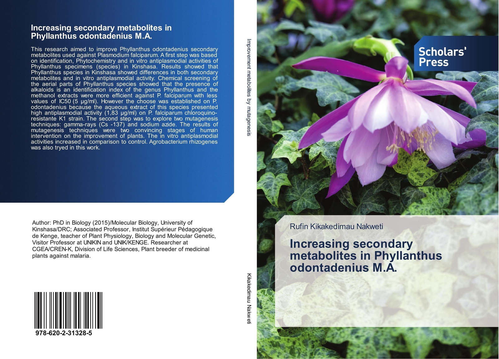 Thumbnail - Increasing Secondary Metabolites In Phyllanthus Odontadenius M.a. |