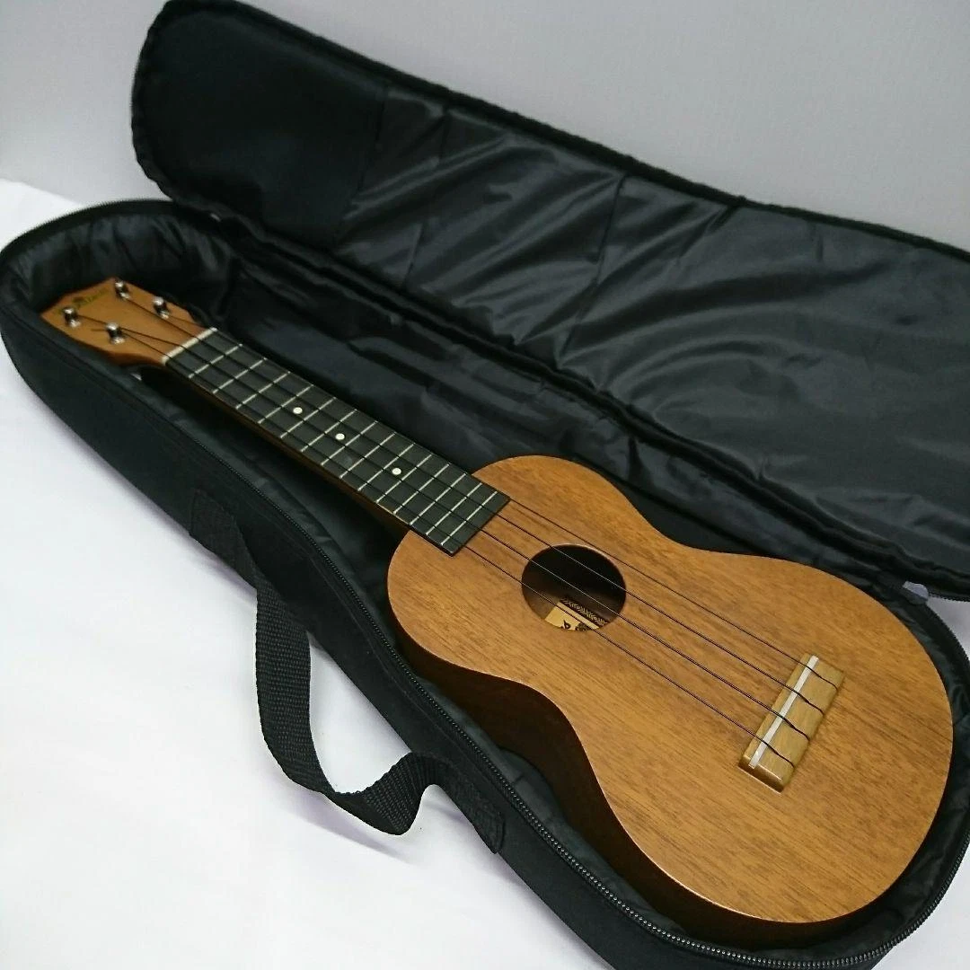 Famous Fs-1 Ukulele With Case