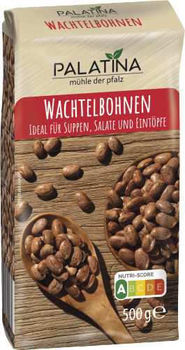knstliche buchsbaumkugel aldi Knstliche Hngepflanze Phlegmariurus Kugel 50 cm  Easyplants Deutschland