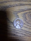 1956-D Lincoln Wheat Small Cent Bronze BN Business Strike KM#132 — photo 3