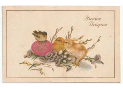 1950 Küken Schwalbe Ei Gänseblümchen Blumen Von Willow Postkarte Frohe Ostern