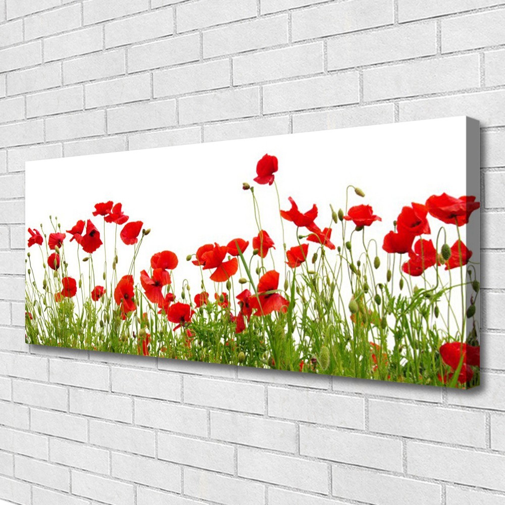 Tableau coquelicot 125x50 cm pour cacher un mur vide et raviver la déco