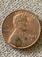 1981 D Penny Error Variety Lincoln Memorial D/D Filled “D” Actual Coin Tk1797*