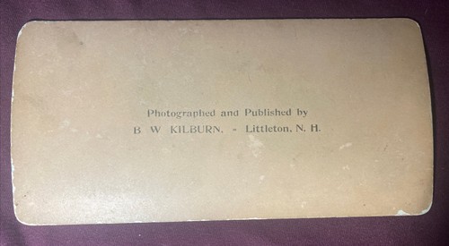 Stereo Card “14467. Pass Right In. Pan American Exposition “. - Picture 2 of 3