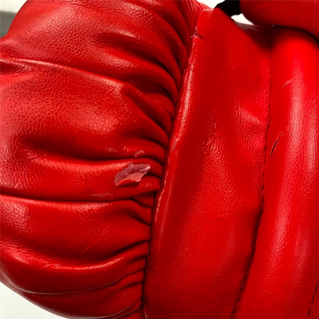 Saul Canelo Alvarez signed Custom Hand Painted Everlast Boxing Glove auto ~ PSA view 6
