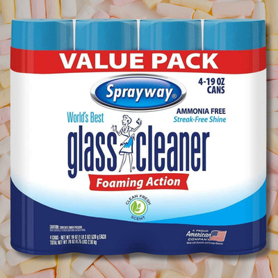 4 PACK Sprayway World's Best Glass Cleaner, Value Pack, 19 OZ