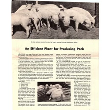 An Efficient Plant for Producing Pork 1940s Leaflet Portland Cement Assoc AG5-1