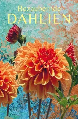 Bezaubernde Dahlien | Heike Mohr | Buch | Minibibliothek | 128 S. | Deutsch