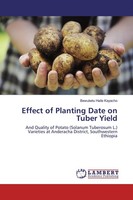 Effect Of Planting Date On Tuber Yield Bewuketu Haile Kayacho