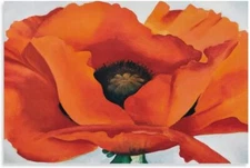 Red Poppies Georgia O'Keeffe Art Flower Poster Wall Art Paintings Canvas Wall