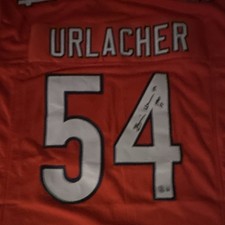 Brian Urlacher Rookie Cards and Memorabilia Guide 68