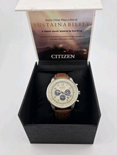 Casio QZ WEF-115WC Germany 2006 World Cup Men's watch for sale