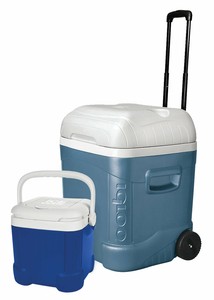 igloo maxcold cube