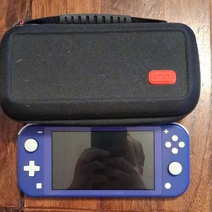 Blue Switch Lite | eBay