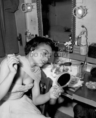 EARTHA KITT WITH HER CAT ''JINX'' SINGER & ACTRESS - 8X10 PUBLICITY PHOTO (EE-008)