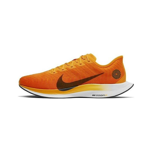 nike pegasus 34 turbo