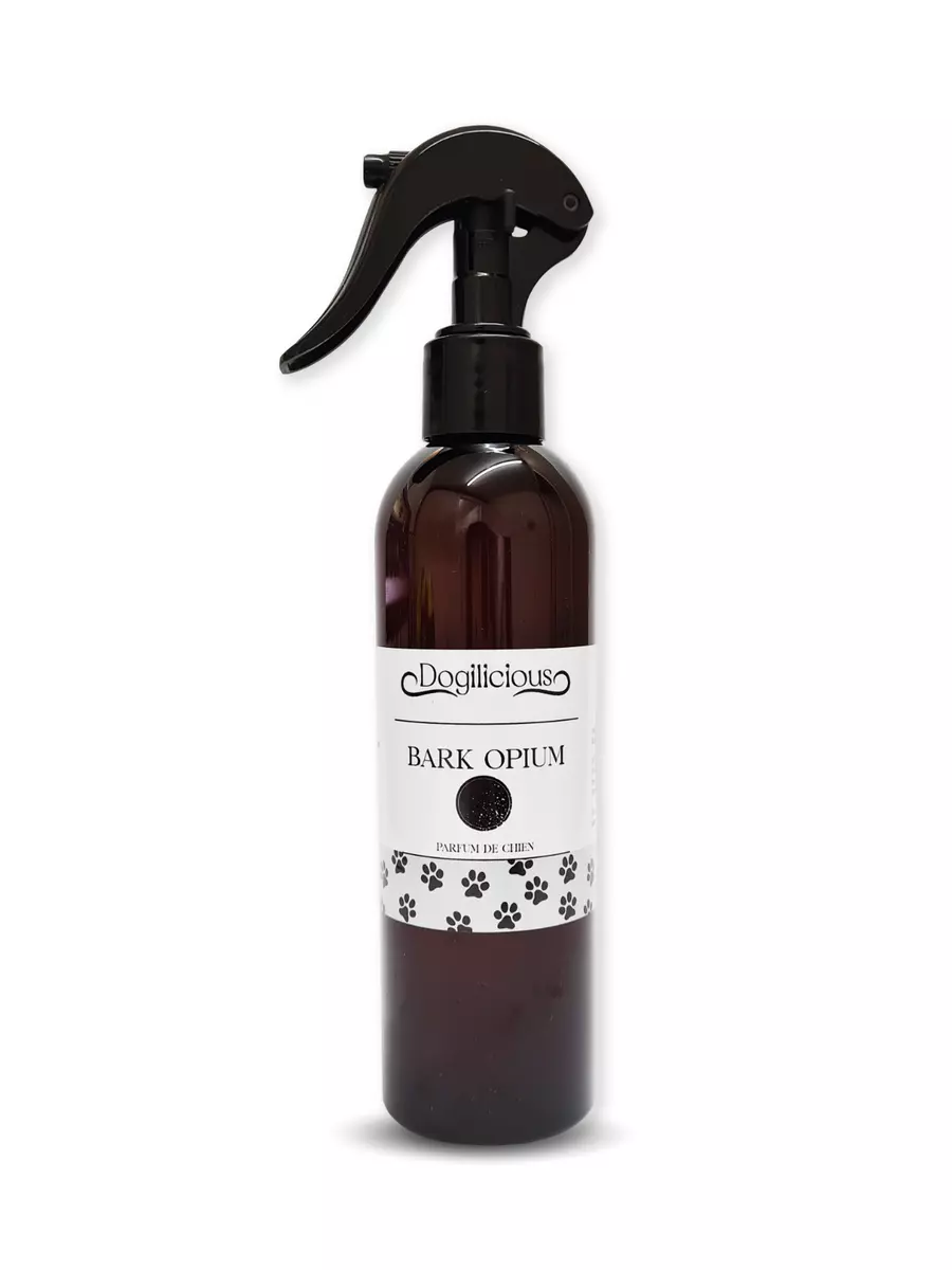 Black dog best sale perfume