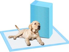 Ultra-Absorbent Waterproof Dog Training Pads - 100 Pack, 23.6 x23.6