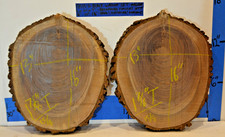 BOOKMATCH SET Black Walnut Live Edge, Grade 5, 16x13x1.87 Dried  Planed EB13-6