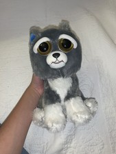 feisty pets katy cobweb