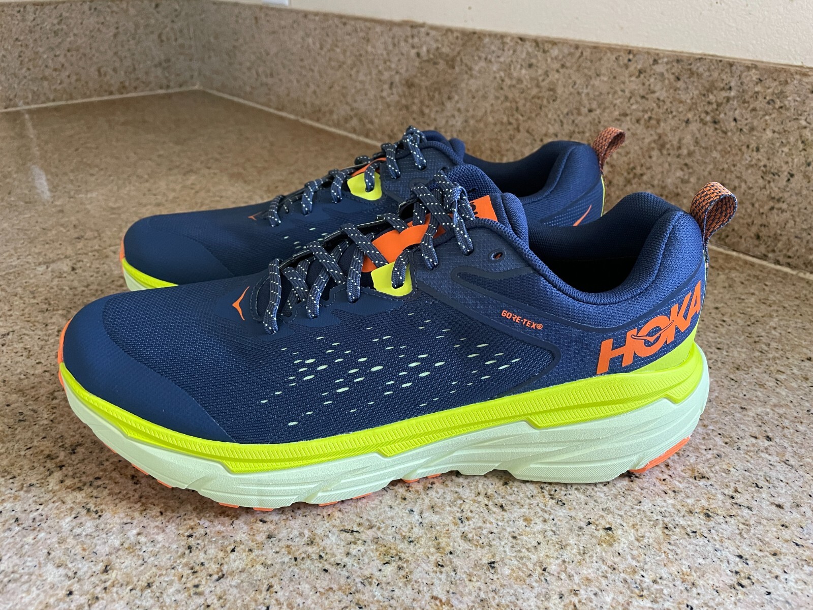 New Hoka One One Men's Challenger Atr 6 GTX GoreTex Running Shoes Size 10D eBay