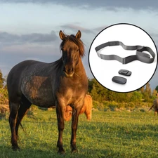 FITCENT Horse Heart Rate Monitor Tracker Monitoring Heart Rate for Equestrian