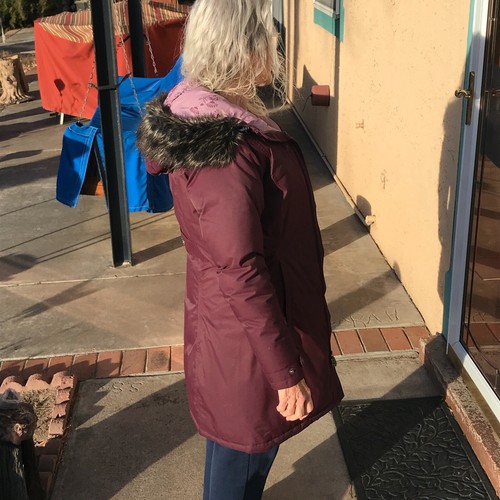 The North Face Plum Hooded Goose Down Hyvent Coat Women's XS - Picture 9 of 10