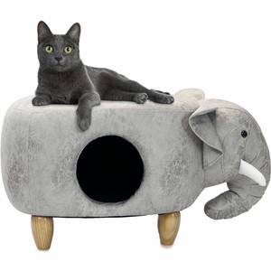 ottoman cat