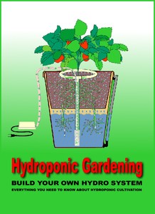 Build Hydroponic Garden Ballast Light Grow Kit System Nutrients Book On Cd Ebay
