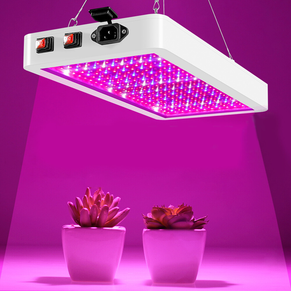 Hydroponic cheap led light