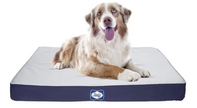 Sealy Dog Bed Defender Series