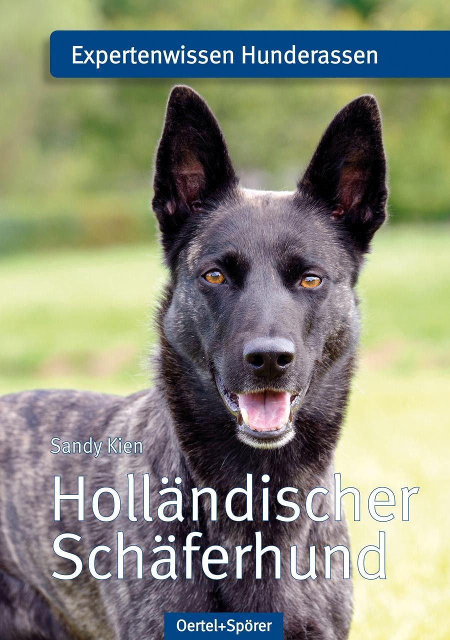 Holländischer Schäferhund Sandy Kien