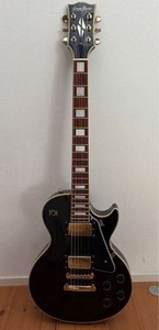 Grass Roots Les Paul | eBay