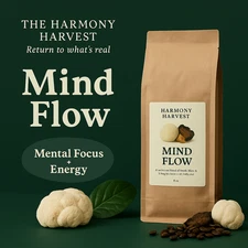 Gaming Brain Boost Drink | Focus Coffee with Lion’s Mane | Energy for Streamers