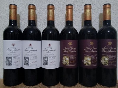 (13,33 /1L) Rioja Bodegas Leza Garcia 3x Reserva +3x Crianza Familia top Rotwein