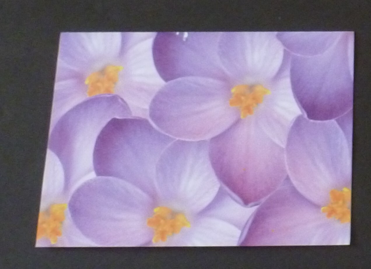 Picture 4 of 7