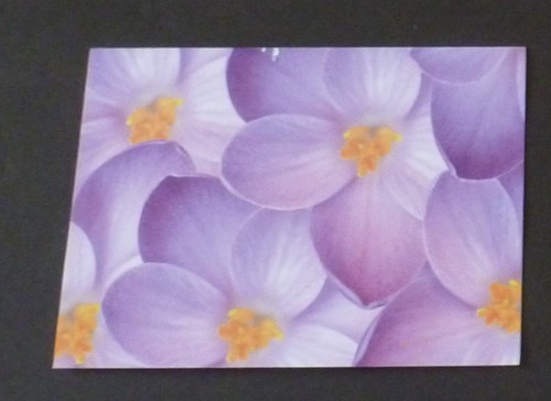 Susan G Komen Magnet For Refrigerator. Plus 4 Blank Note Cards with Envelops - Picture 4 of 7