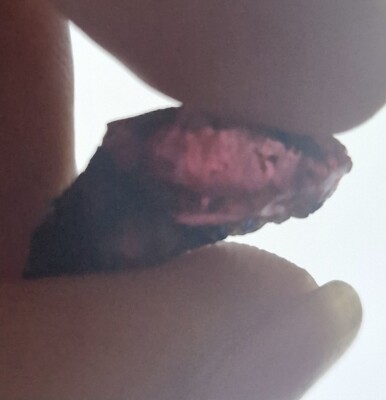 Rough Winza SAPPHIRE 9.4 ct. Bicolor. Tanzania. Mineral Crystal Specimen.