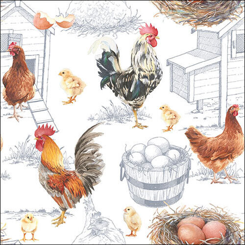 Serviettes déjeuner - 33 x 33 cm - 3 couches - 20 serviettes - élevage de poulets - Photo 1/1