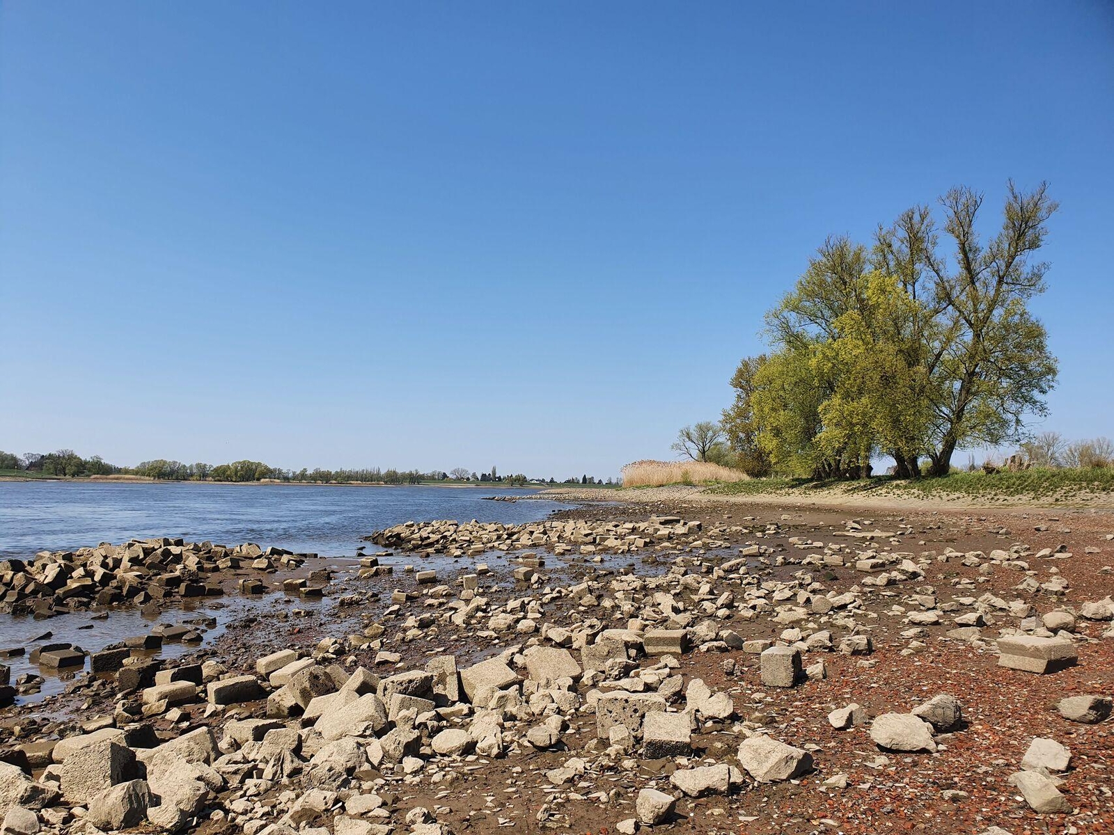 Thumbnail - Agnes Geht Katja Keweritsch