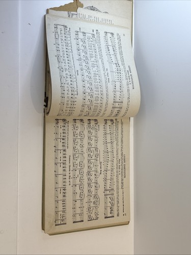 1902 Whitney's Parlor Orgelmethode - antikes Musiklehrbuch - Bild 9 von 19