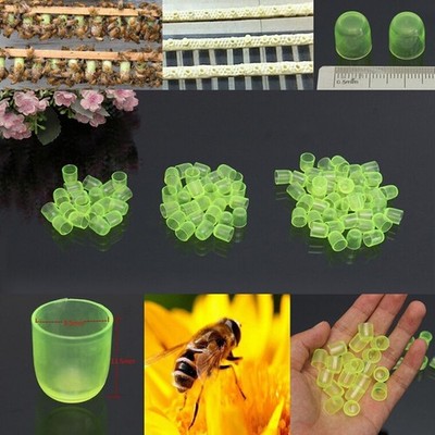 100x Queen Bee Cell Cups   Cups Green Rearing Beekeeping Farmer Tools YL #pk